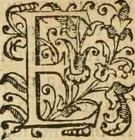 Picture 43 of 58 from Decada quarta da Asia : dos feitos que os portugueses fizeram na conquista e descobrimento das terras, & mares do Oriente : em quanto gouernaraõ a India Lopo Vaz de Saõ Payo, & parte de Nuno da Cunha (1602), leaf 341