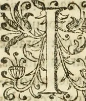 Picture 45 of 58 from Decada quarta da Asia : dos feitos que os portugueses fizeram na conquista e descobrimento das terras, & mares do Oriente : em quanto gouernaraõ a India Lopo Vaz de Saõ Payo, & parte de Nuno da Cunha (1602), leaf 347