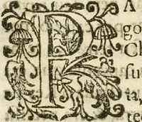 Picture 46 of 58 from Decada quarta da Asia : dos feitos que os portugueses fizeram na conquista e descobrimento das terras, & mares do Oriente : em quanto gouernaraõ a India Lopo Vaz de Saõ Payo, & parte de Nuno da Cunha (1602), leaf 349