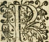 Picture 48 of 58 from Decada quarta da Asia : dos feitos que os portugueses fizeram na conquista e descobrimento das terras, & mares do Oriente : em quanto gouernaraõ a India Lopo Vaz de Saõ Payo, & parte de Nuno da Cunha (1602), leaf 356