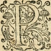 An illustration from Decada quarta da Asia : dos feitos que os portugueses fizeram na conquista e descobrimento das terras, & mares do Oriente : em quanto gouernaraõ a India Lopo Vaz de Saõ Payo, & parte de Nuno da Cunha (1602)