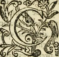 Picture 13 of 58 from Decada quarta da Asia : dos feitos que os portugueses fizeram na conquista e descobrimento das terras, & mares do Oriente : em quanto gouernaraõ a India Lopo Vaz de Saõ Payo, & parte de Nuno da Cunha (1602), leaf 89