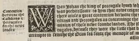 An illustration from The decades of the Newe Worlde or West India, conteynyng the nauigations and conquestes of the Spanyardes, with the particular descripton [sic] of the moste ryche and large landes and ilandes lately founde in the West Ocean perteynyng to the inheritaunce of the kinges of Spayne. : In the which the diligent reader may not only consyder what commoditie may hereby chaunce to the hole Christian world in tyme to come, but also learne many secreates touchynge the lande, the sea, and the starres, very necessarie to be knowe[n] to al such as shal attempte any nauigations, or otherwise haue delite to beholde the strange and woonderfull woorkes of God and nature. (1555)
