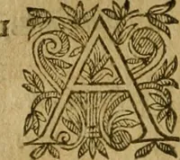 An illustration from De canonicis, et dignitatibus, aliisque inferioribus beneficiariis cathedralium & collegiatarum ecclesiarum, eorúmque officio tam in choro, quàm in capitulo : elegans et perutilis tractatus (1634)