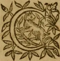 An illustration from De canonicis, et dignitatibus, aliisque inferioribus beneficiariis cathedralium & collegiatarum ecclesiarum, eorúmque officio tam in choro, quàm in capitulo : elegans et perutilis tractatus (1634)