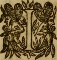 An illustration from De canonicis, et dignitatibus, aliisque inferioribus beneficiariis cathedralium & collegiatarum ecclesiarum, eorúmque officio tam in choro, quàm in capitulo : elegans et perutilis tractatus (1634)