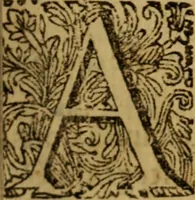 An illustration from De causa Dei contra antisabbatarios tractatus (1674)