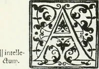 Picture 38 of 126 from De causa Dei contra Pelagium et de virtute causarum. Opera et studio Henrici Savilli. Ex scriptis codicibus nunc primum editi (1618), leaf 311