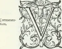 Picture 58 of 126 from De causa Dei contra Pelagium et de virtute causarum. Opera et studio Henrici Savilli. Ex scriptis codicibus nunc primum editi (1618), leaf 529