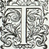 Picture 92 of 126 from De causa Dei contra Pelagium et de virtute causarum. Opera et studio Henrici Savilli. Ex scriptis codicibus nunc primum editi (1618), leaf 728