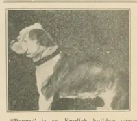 Picture 2 of 19 from December 1930 (1930), leaf 1