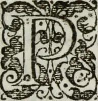 An illustration from De Christiana expeditione apud Sinas suscepta ab Societate Iesu : ex P. Matthaei Ricij eiusdem Societatis com[m]entarijs Libri V : ad S.D.N. Paulum V. in quibus Sinensis Regni mores, leges atq[ue] instituta & nouae illius Ecclesiae difficillima primordia accurate & summa fide describuntur (1615)