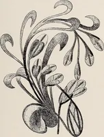 An illustration from Decimon Hûydas : a romance of Mars : a story of actual experiences in Ento (Mars) many centuries ago (1906)