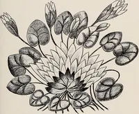 An illustration from Decimon Hûydas : a romance of Mars : a story of actual experiences in Ento (Mars) many centuries ago (1906)