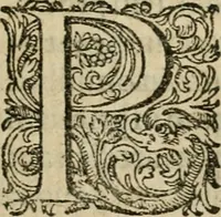 An illustration from De circulo physico, quadrato, hoc est, auro : ejusque virtvte medicinali, sub dvro cortice instar nvclei latente, an & qualis inde petenda sit : tractatus haud inutilis (1616)
