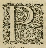 An illustration from De circulo physico, quadrato, hoc est, auro : ejusque virtvte medicinali, sub dvro cortice instar nvclei latente, an & qualis inde petenda sit : tractatus haud inutilis (1616)
