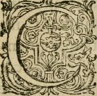 An illustration from De circulo physico, quadrato, hoc est, auro : ejusque virtvte medicinali, sub dvro cortice instar nvclei latente, an & qualis inde petenda sit : tractatus haud inutilis (1616)