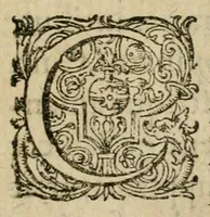 An illustration from De circulo physico, quadrato, hoc est, auro : ejusque virtvte medicinali, sub dvro cortice instar nvclei latente, an & qualis inde petenda sit : tractatus haud inutilis (1616)