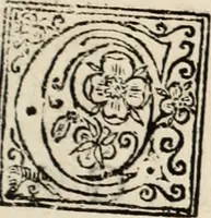 Picture 3 of 139 from Decisiones supremi eminentissimique Senatus Portugalliae ex gravissimorum patrum responsis collectae (1621), leaf 10