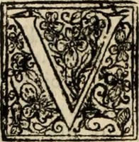 Picture 16 of 139 from Decisiones supremi eminentissimique Senatus Portugalliae ex gravissimorum patrum responsis collectae (1621), leaf 109