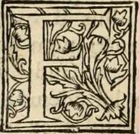 An illustration from Decisiones supremi eminentissimique Senatus Portugalliae ex gravissimorum patrum responsis collectae (1621)