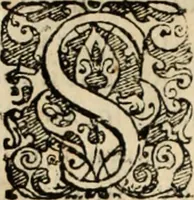 Picture 20 of 139 from Decisiones supremi eminentissimique Senatus Portugalliae ex gravissimorum patrum responsis collectae (1621), leaf 127