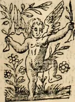 Picture 21 of 139 from Decisiones supremi eminentissimique Senatus Portugalliae ex gravissimorum patrum responsis collectae (1621), leaf 132