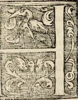 Picture 5 of 139 from Decisiones supremi eminentissimique Senatus Portugalliae ex gravissimorum patrum responsis collectae (1621), leaf 14