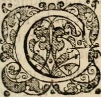 Picture 23 of 139 from Decisiones supremi eminentissimique Senatus Portugalliae ex gravissimorum patrum responsis collectae (1621), leaf 140