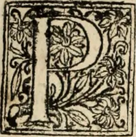 An illustration from Decisiones supremi eminentissimique Senatus Portugalliae ex gravissimorum patrum responsis collectae (1621)
