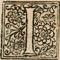 Picture 25 of 139 from Decisiones supremi eminentissimique Senatus Portugalliae ex gravissimorum patrum responsis collectae (1621), leaf 146