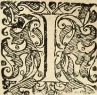 Picture 27 of 139 from Decisiones supremi eminentissimique Senatus Portugalliae ex gravissimorum patrum responsis collectae (1621), leaf 151