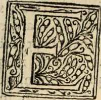 Picture 28 of 139 from Decisiones supremi eminentissimique Senatus Portugalliae ex gravissimorum patrum responsis collectae (1621), leaf 155