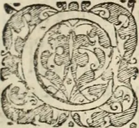 An illustration from Decisiones supremi eminentissimique Senatus Portugalliae ex gravissimorum patrum responsis collectae (1621)