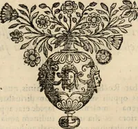 Picture 35 of 139 from Decisiones supremi eminentissimique Senatus Portugalliae ex gravissimorum patrum responsis collectae (1621), leaf 206
