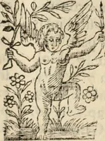 Picture 38 of 139 from Decisiones supremi eminentissimique Senatus Portugalliae ex gravissimorum patrum responsis collectae (1621), leaf 210