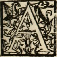 Picture 40 of 139 from Decisiones supremi eminentissimique Senatus Portugalliae ex gravissimorum patrum responsis collectae (1621), leaf 220