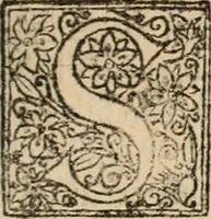 An illustration from Decisiones supremi eminentissimique Senatus Portugalliae ex gravissimorum patrum responsis collectae (1621)