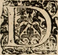 Picture 42 of 139 from Decisiones supremi eminentissimique Senatus Portugalliae ex gravissimorum patrum responsis collectae (1621), leaf 234