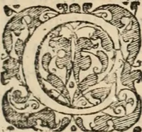 Picture 43 of 139 from Decisiones supremi eminentissimique Senatus Portugalliae ex gravissimorum patrum responsis collectae (1621), leaf 238