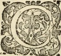 Picture 45 of 139 from Decisiones supremi eminentissimique Senatus Portugalliae ex gravissimorum patrum responsis collectae (1621), leaf 255
