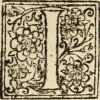 Picture 46 of 139 from Decisiones supremi eminentissimique Senatus Portugalliae ex gravissimorum patrum responsis collectae (1621), leaf 257