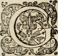 Picture 47 of 139 from Decisiones supremi eminentissimique Senatus Portugalliae ex gravissimorum patrum responsis collectae (1621), leaf 266