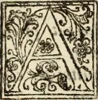 Picture 48 of 139 from Decisiones supremi eminentissimique Senatus Portugalliae ex gravissimorum patrum responsis collectae (1621), leaf 267