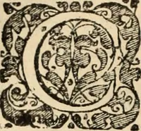Picture 51 of 139 from Decisiones supremi eminentissimique Senatus Portugalliae ex gravissimorum patrum responsis collectae (1621), leaf 295