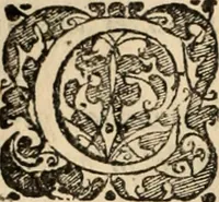 Picture 52 of 139 from Decisiones supremi eminentissimique Senatus Portugalliae ex gravissimorum patrum responsis collectae (1621), leaf 303