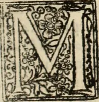Picture 53 of 139 from Decisiones supremi eminentissimique Senatus Portugalliae ex gravissimorum patrum responsis collectae (1621), leaf 308
