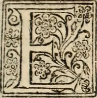 An illustration from Decisiones supremi eminentissimique Senatus Portugalliae ex gravissimorum patrum responsis collectae (1621)