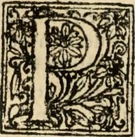 Picture 56 of 139 from Decisiones supremi eminentissimique Senatus Portugalliae ex gravissimorum patrum responsis collectae (1621), leaf 319