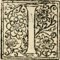 Picture 57 of 139 from Decisiones supremi eminentissimique Senatus Portugalliae ex gravissimorum patrum responsis collectae (1621), leaf 327